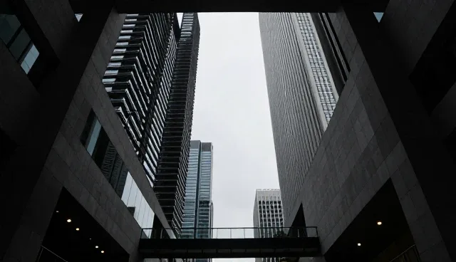 网络较为完善条件下，技术使用的选择与取舍